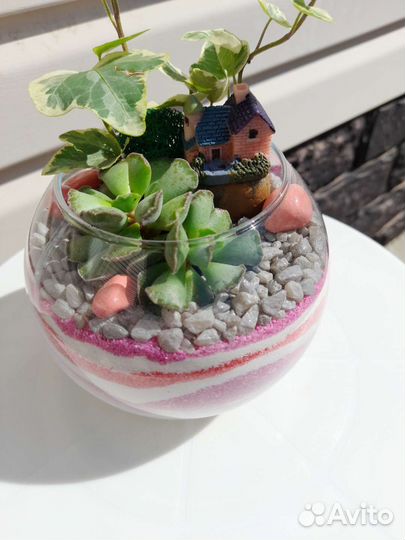 Подарок Флорариум в стекле