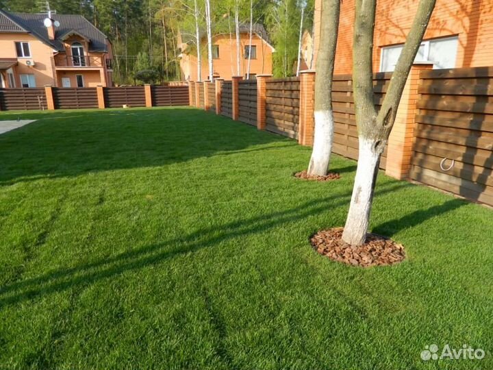 Рулонный газон. Озеленение участка под ключ