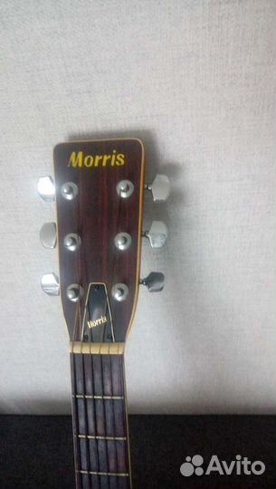 Акустическая гитара Morris w25