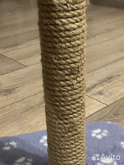 Когтеточка