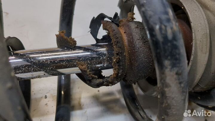 Амортизатор подвески Honda CR-V, 2009