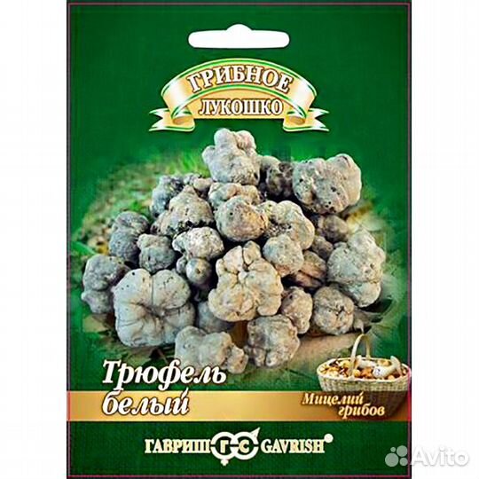 Мицелий грибов Трюфель белый Российский