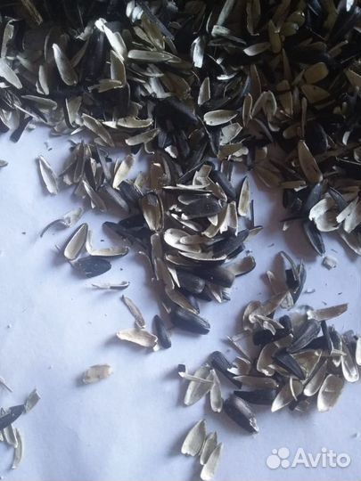 Лузга подсолнечника