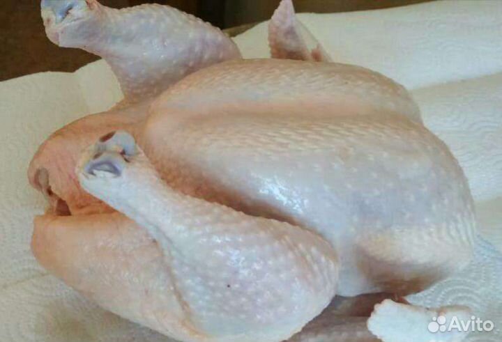 Куры бройлеры тушки мясо