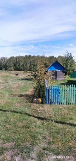 Дом 49,2 м² на участке 15 сот.