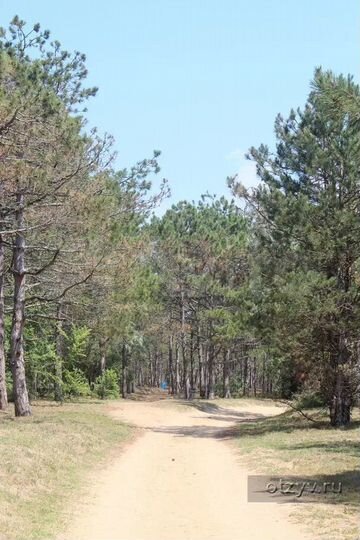 Участок 19,25 га (ИЖС)