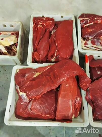 Мясо домашнее говядина в наличии в иркутске