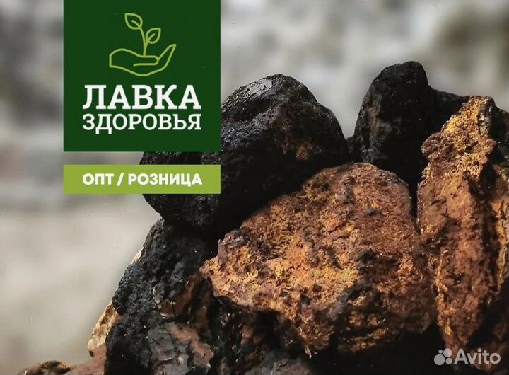 Чага сушеная опт. Любые объемы и виды