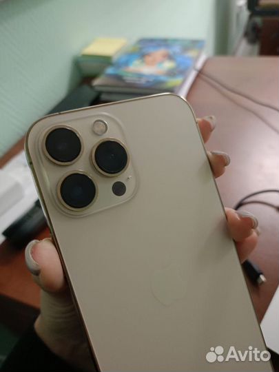 iPhone 13 Pro Max, 256 ГБ