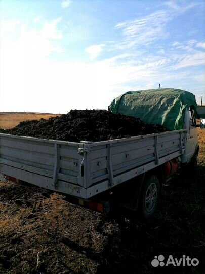 Навоз перегной