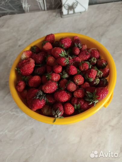 Виктория клубника