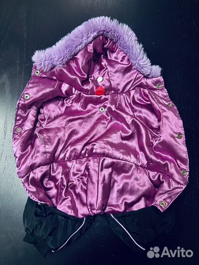 Комбинезон для маленькой собаки