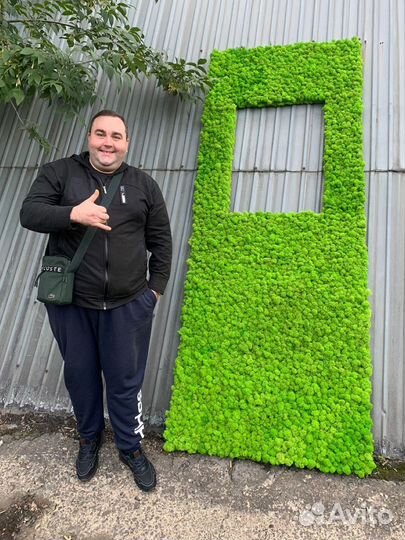 Мох Стабилизированный ягель, кочка, пласт, панно