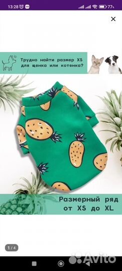 Одежда для сфинксов или собак мелких пород