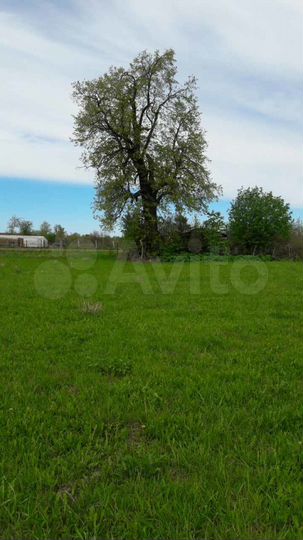 Участок 15 сот. (ИЖС)