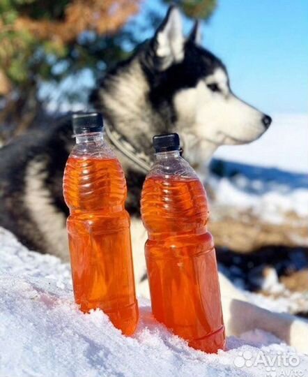 Лососевое масло для животных