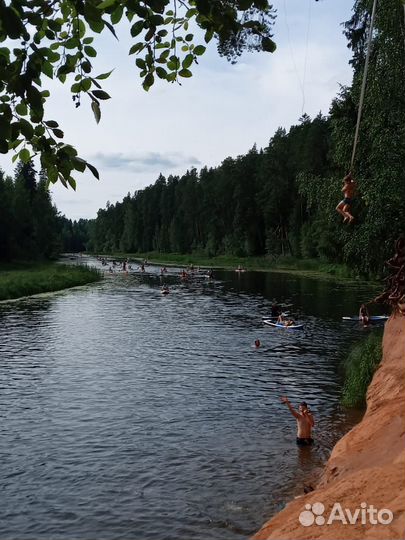 Прогулка на сапах по Оредежу. Прокат сапов