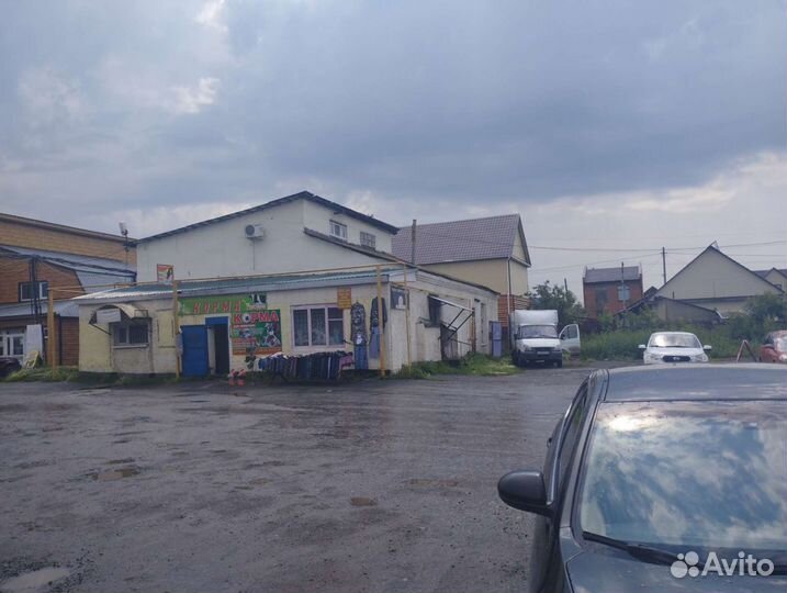 Корма на ковровой