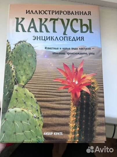 Книга Кунте Либор Кактусы