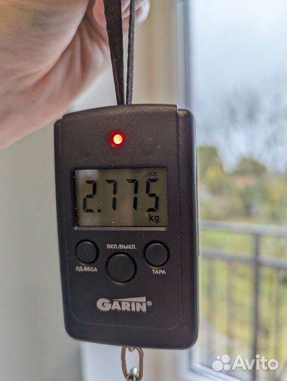 Сухой корм для собак grandorf