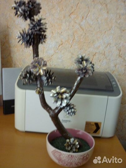 Бонсай из шишек