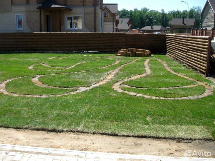 Рулонный газон с укладкой