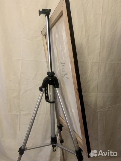 Картина Тропические Растения интерьер