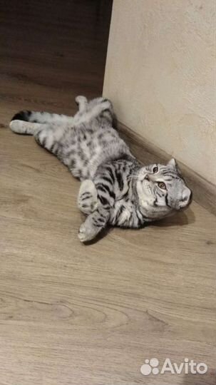 Вязка кота