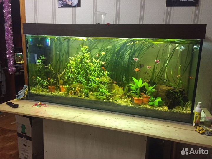 Аквариум