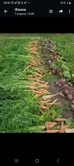 Дача 32 м² на участке 17 сот.