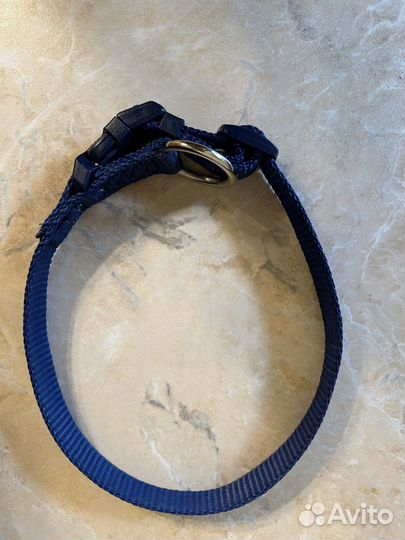 Ошейник для собак