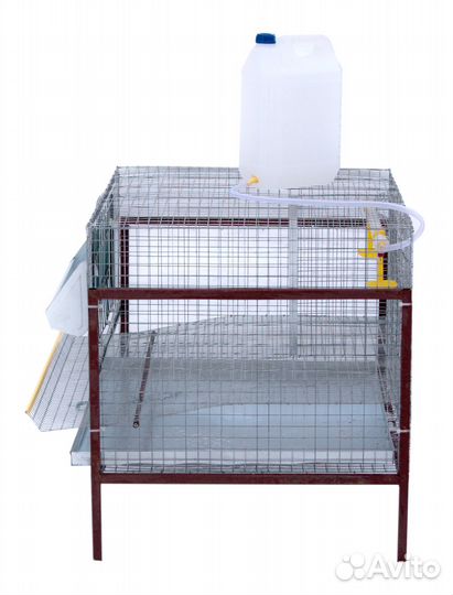 Клетка для кур несушек