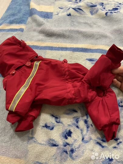 Одежда для собак