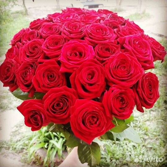 Цветы розы букет