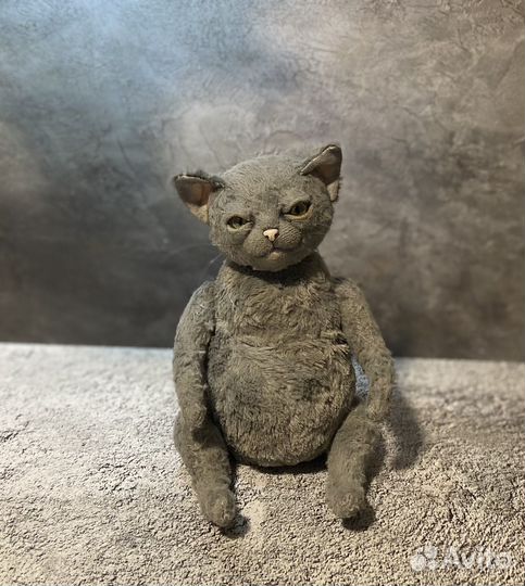 Тедди котик