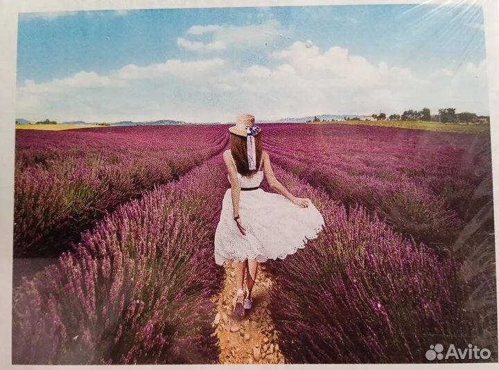 Алмазная мозаика на подрамнике 40*50 Волк