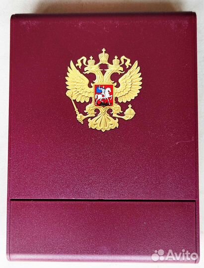 Золотая школьная медаль 2024 года