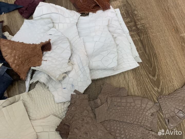 Обрезки кожа крокодила