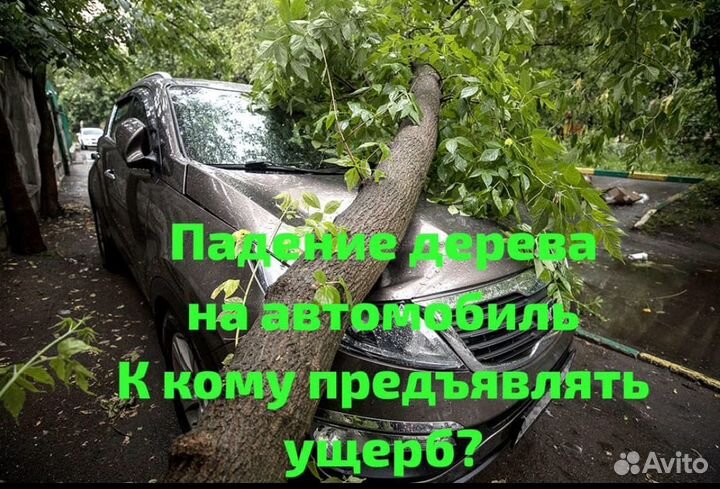 Юрист опытный. Стаж 19 лет