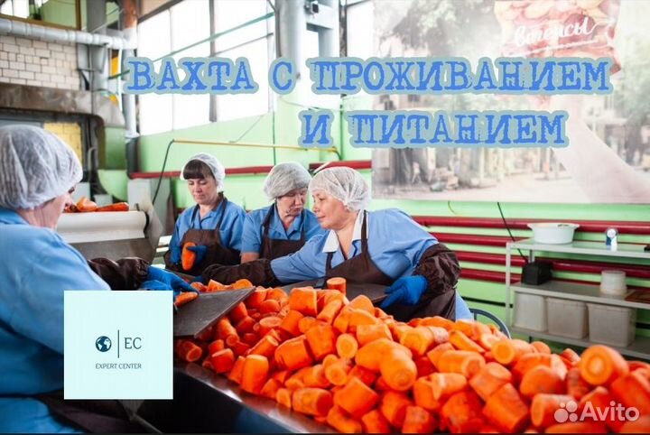 Вахта в Краснод. Крае Разнорабочий (прож+3х пит)