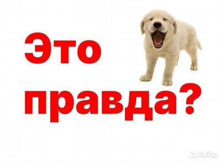 Окна пластиковые пвх. Супер окна