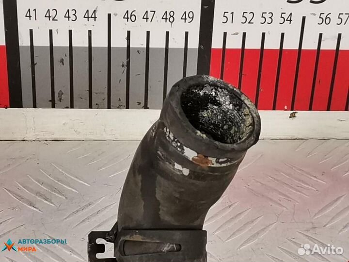 Патрубок радиатора Renault Modus 2005 8200173007