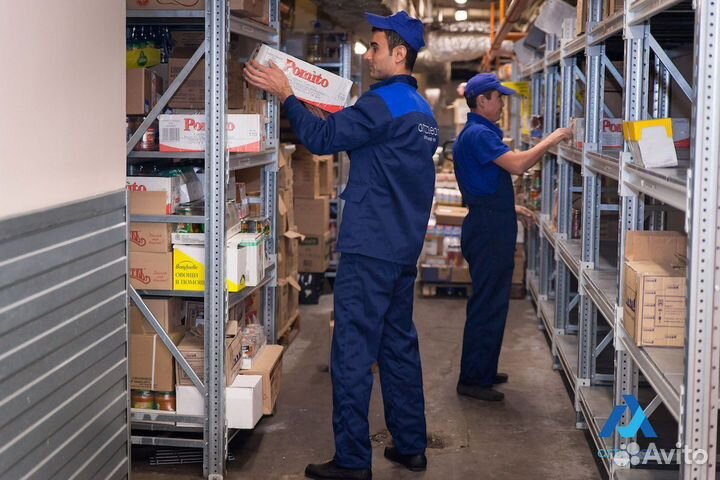 Грузчики оплата ежедневная