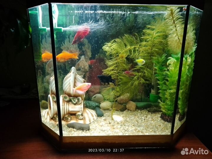 Аквариум 26литров стекло