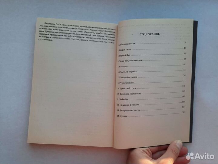 Сборник рассказов Горный дух Капитонова книга