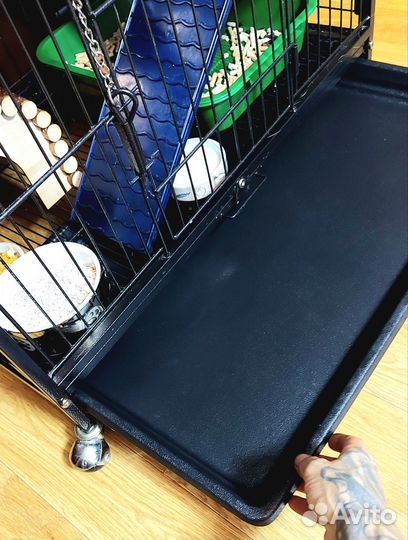 Клетка для грызунов, шиншил