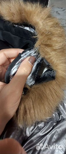 Куртка Делорас для девочки, 150см