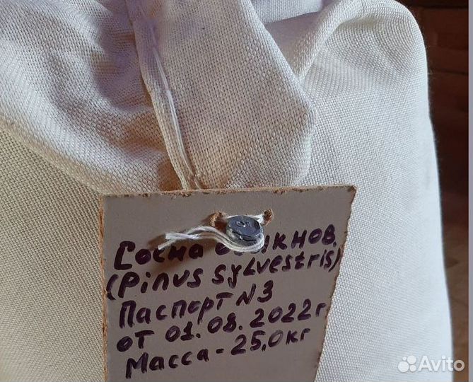 Семена сосны на заказ