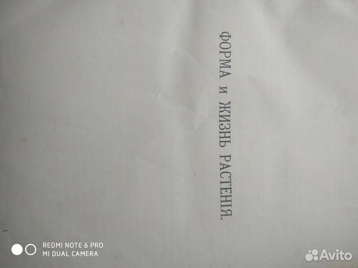 Редкие антикварные книги. Жизнь растений