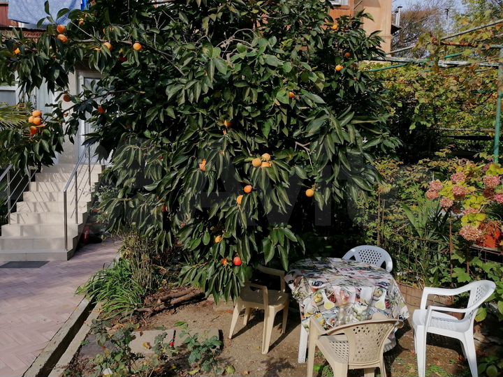 4-к. квартира, 62 м², 1/2 эт.